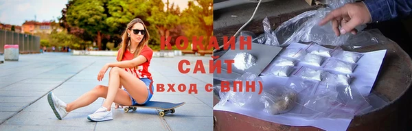 молекула духа Богородицк
