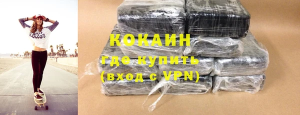 спайс Богданович