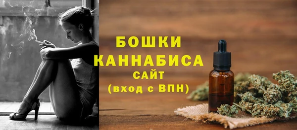 спайс Богданович