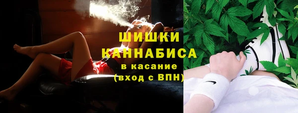 молекула духа Богородицк