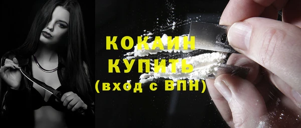 спайс Богданович
