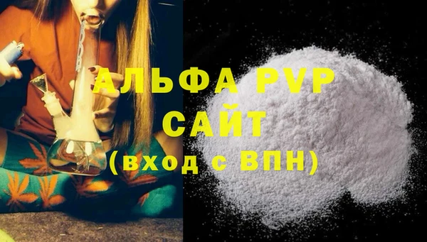 спайс Богданович