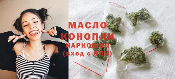 молекула духа Богородицк