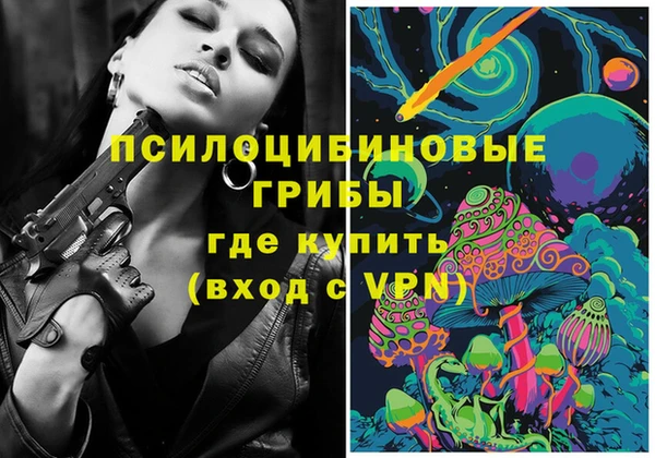 первитин Богородск