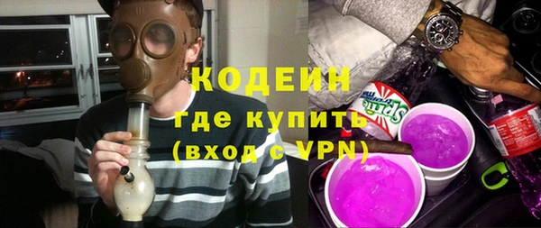 молекула духа Богородицк