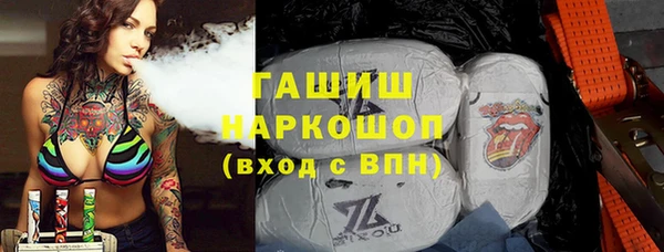 молекула духа Богородицк