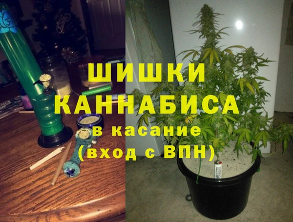 первитин Богородск