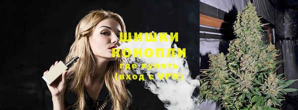 молекула духа Богородицк